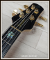 Preview: Spector Euro 5 CST,  Natural Gloss